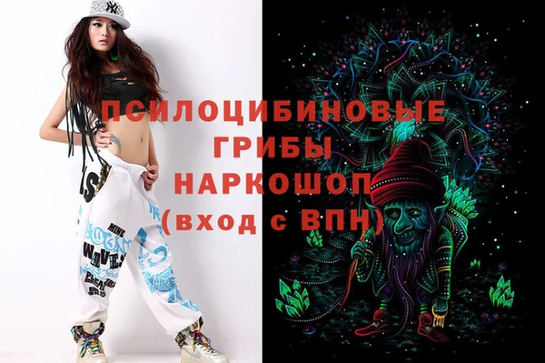 apvp Алзамай
