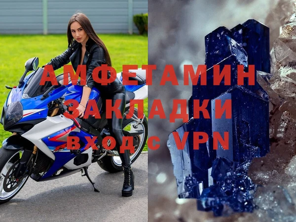 apvp Алзамай