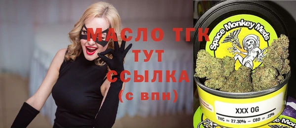 СК Алексин