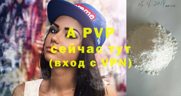 СК Алексин