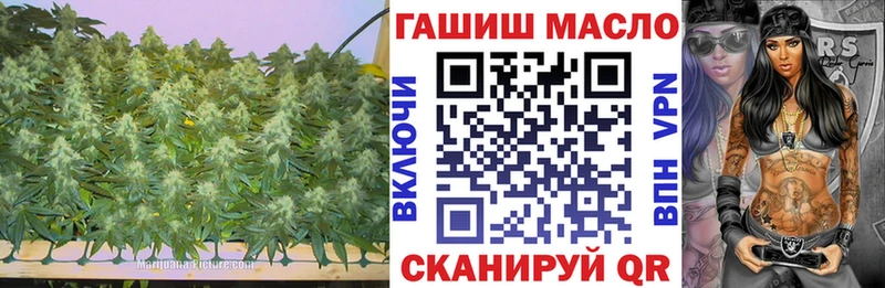 сколько стоит  Апатиты  Дистиллят ТГК гашишное масло 