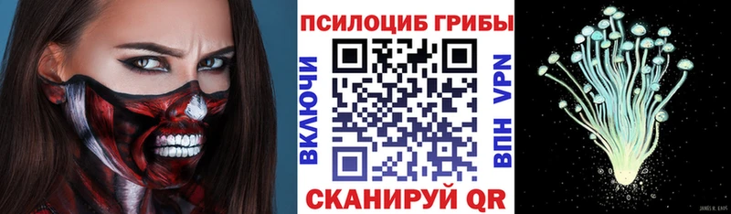 Псилоцибиновые грибы GOLDEN TEACHER  Апатиты 