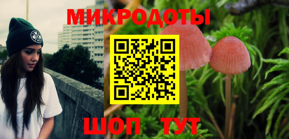 Псилоцибиновые грибы мицелий  Галлюциногенные грибы Psilocybine cubensis  Апатиты  как найти закладки  Вход с VPN 