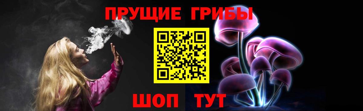 Галлюциногенные грибы Psilocybe Апатиты